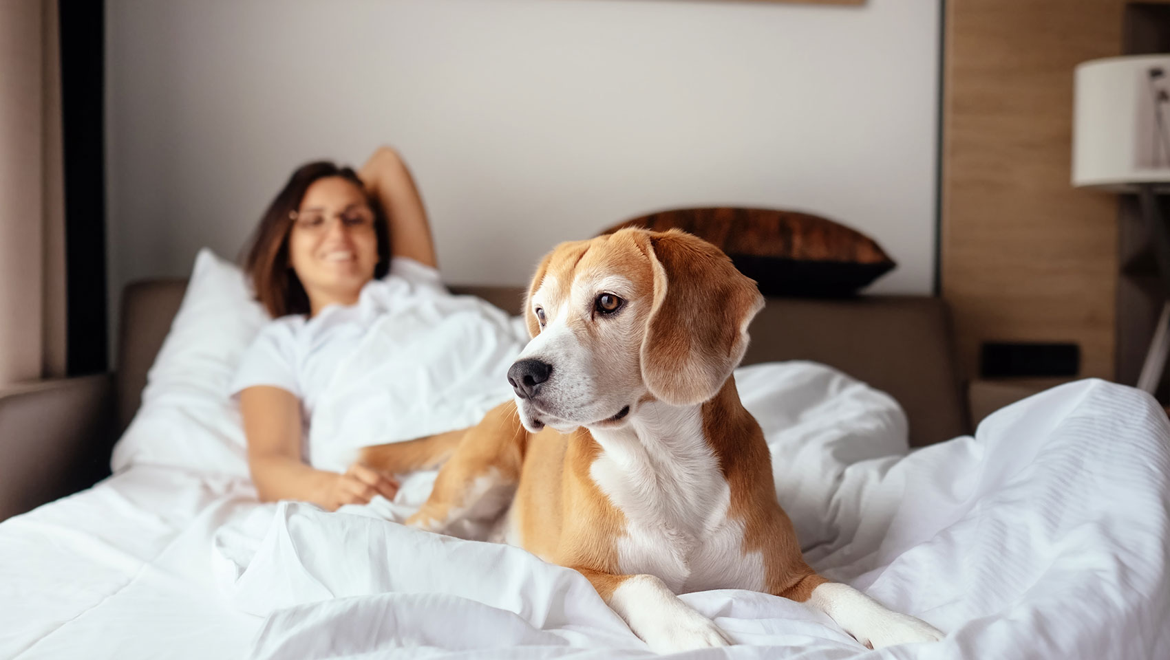Dog on bed with woman