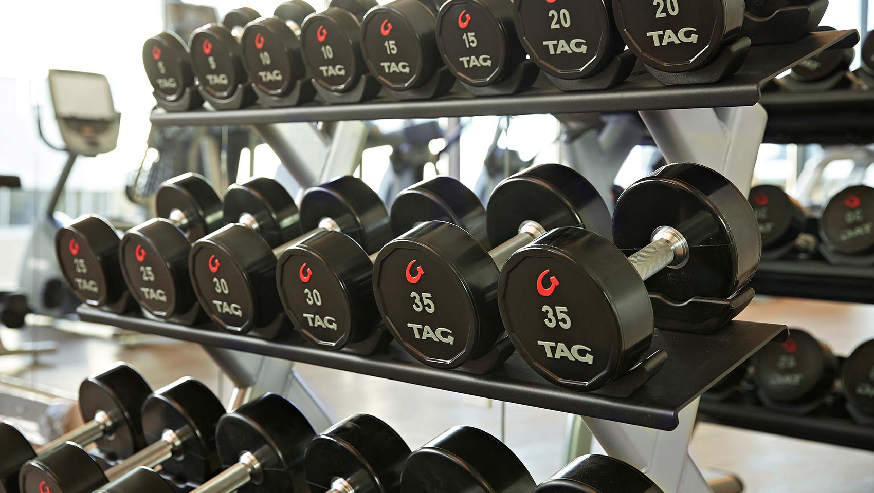 Free Weights in Fitness Center