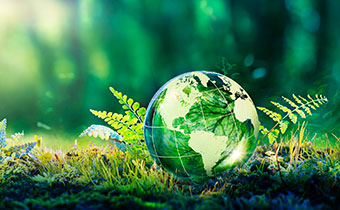 photo compilation of greenery and a transparent green globe