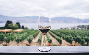 Glass of red wine overlooking vineyard