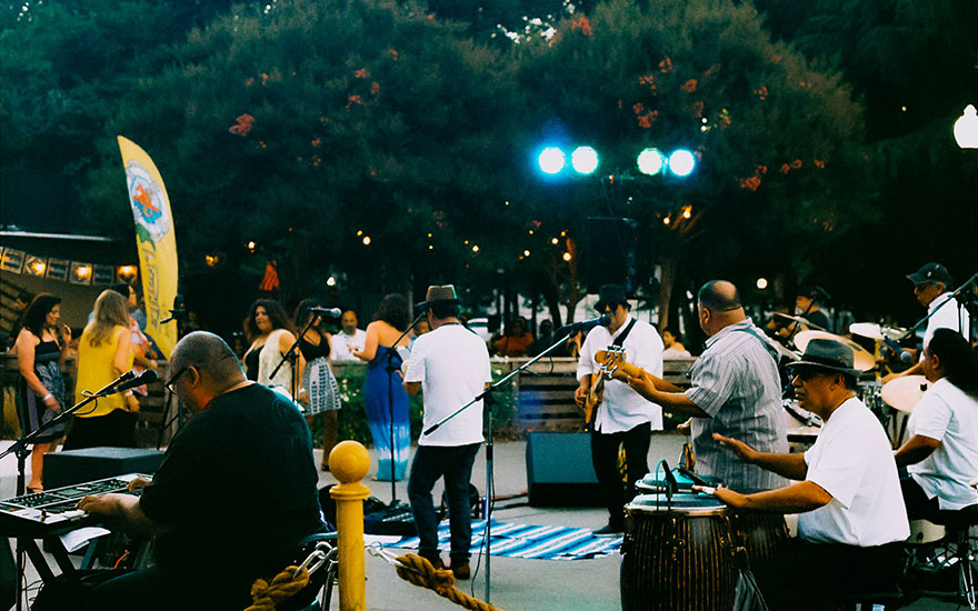 Lice Music in Sacramento Park